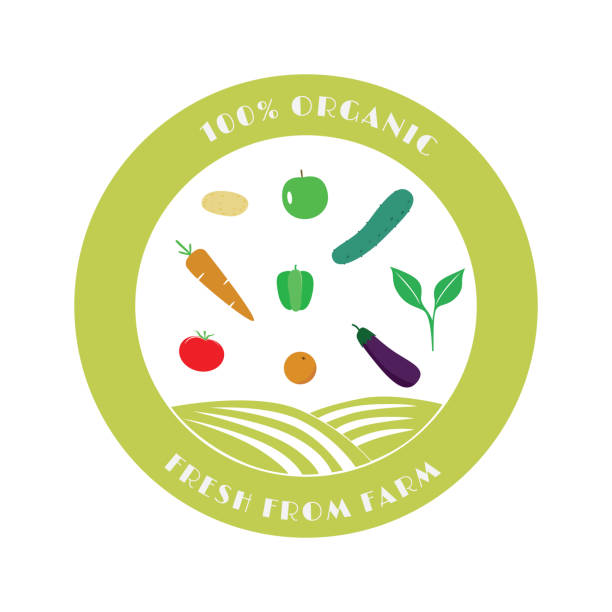 ilustraciones, imágenes clip art, dibujos animados e iconos de stock de logotipo de plantilla de negocio de agricultura orgánica - raw potato clean red red potato