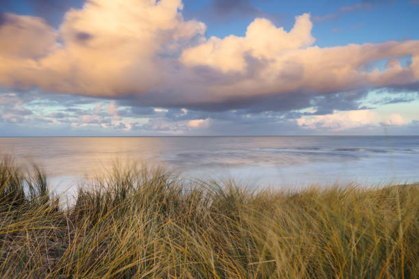 istock Sunset View from dune top over North Sea from the dutch islands 1317206596
