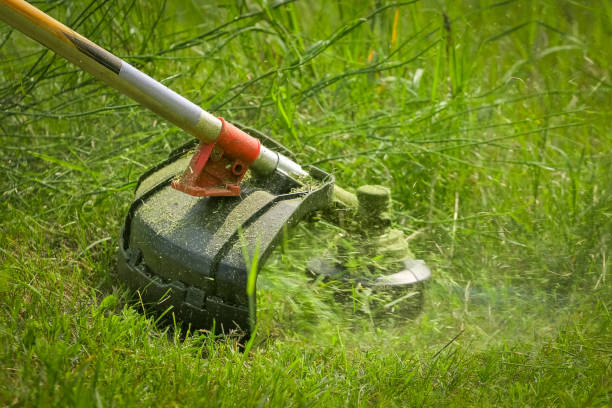 Physical worker mowing tall grass, weed with grass trimmer stock photo