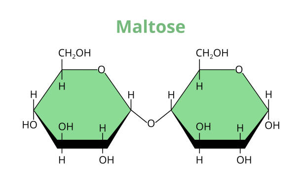 Sugar Structure