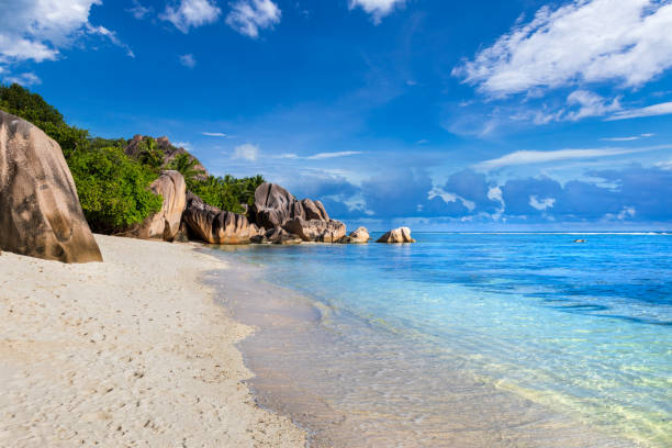 istock Beach destination for summer vacation holidays, Anse Source d'Argent in La Digue Seychelles. Paradise tropical island in Indian ocean with pristine white sand, turquoise sea water and granite rocks. 1317216995