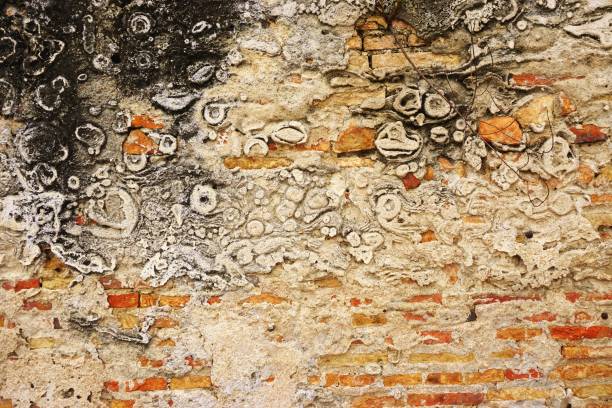 Detail of ancient brick wall with crumbling mortar, black soot and weathered surface texture