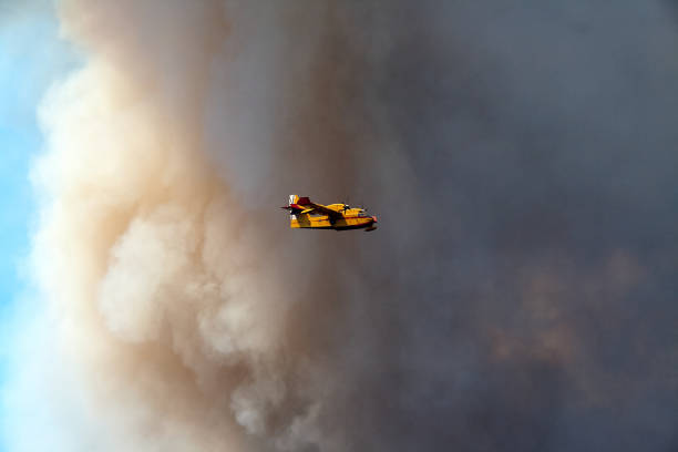 istock The help of fire seaplanes 1317219891