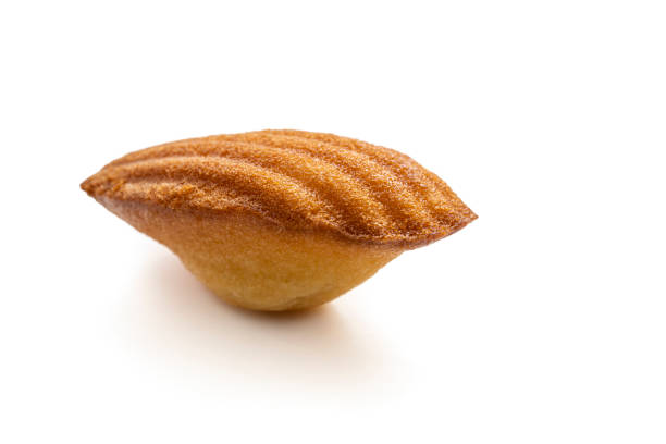istock Madeleine french small sponge cake as a muffin with shell shape isolated on white 1317220077
