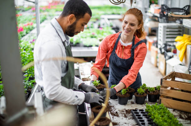 istock Garden center workers potting plants 1317220825