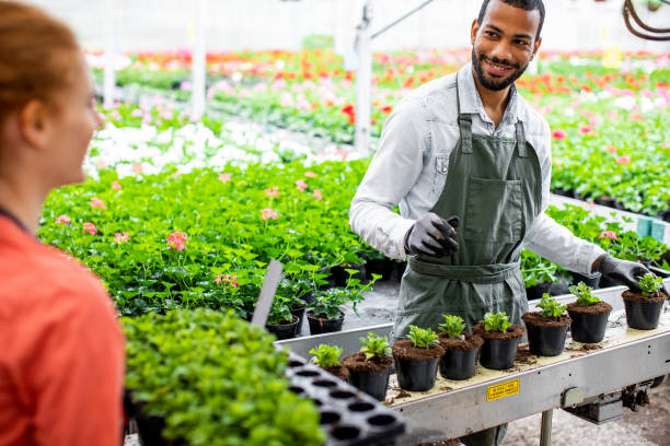 istock Garden center workers potting plants 1317221034