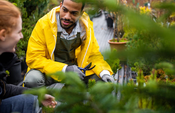 istock Garden center pruning plants 1317221098