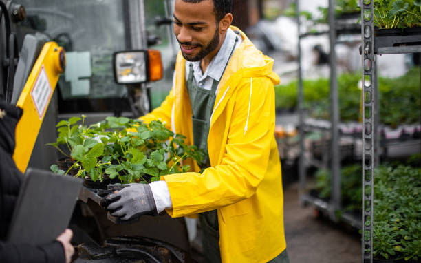 istock Garden center worker transporting plants 1317221212