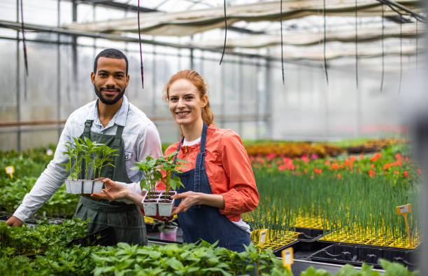 istock Portrait of two garden center workers 1317221216