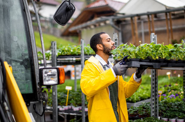 istock Garden center worker transporting plants 1317221325