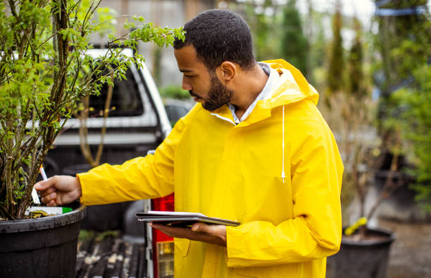 istock Garden center worker transporting plants 1317221540