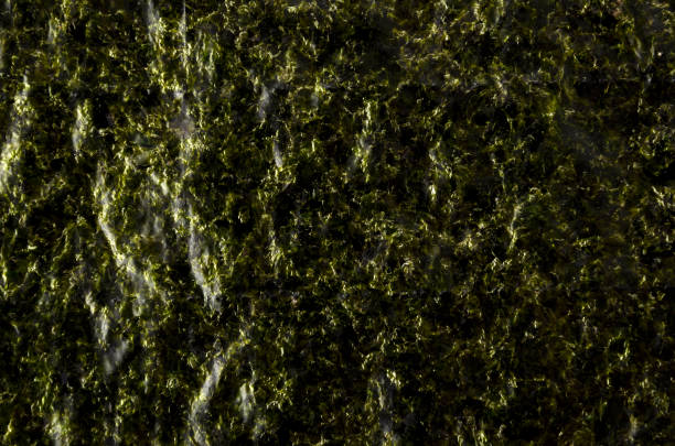 istock Japanese dried laver. Roasted seaweed background or texture 1317222394