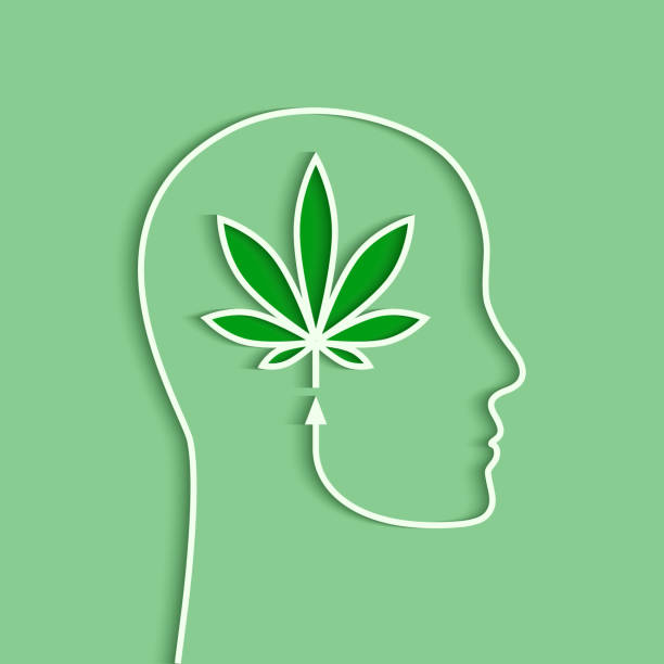 Medical cannabis plant and human head Marijuana leaf as prescription drug and medicine concept. Medical cannabis plant, human head and mind on green background. medical cannabis stock illustrations