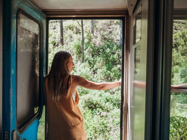 istock Tourist in Sri Lanka riding train 1317225104