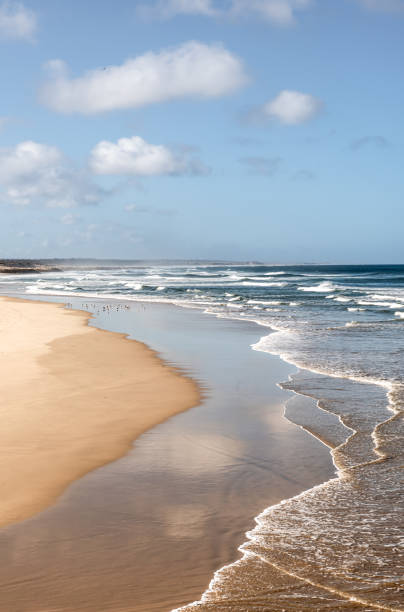 istock Sandy beach with sea waves and cloudy sky 1317225111