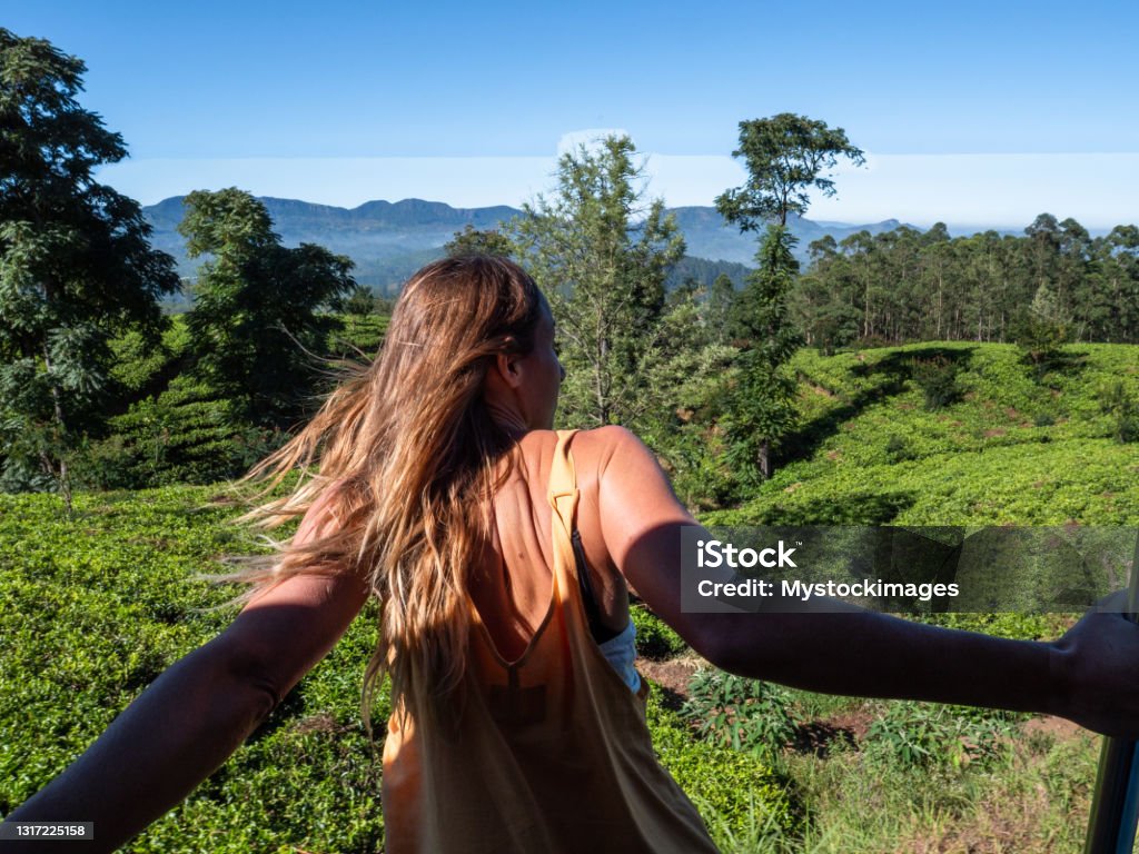 Tourist in Sri Lanka riding train Traveling young woman hanging outside blue train door while riding on the famous Ella Kandy journey in Sri Lanka. People transportation famous places. Girl enjoying train ride in tea plantations Sri Lanka Stock Photo