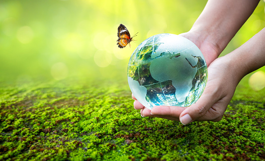 A man with a glass globe Concept day earth Save the world save environment The world is in the grass of the green bokeh background