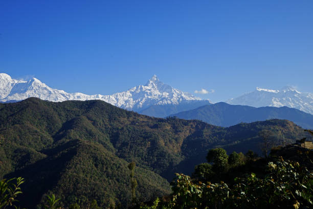 istock Snowy mountain view with clear blue sky, Annapurna Himalayan range- Nepal 1317225337