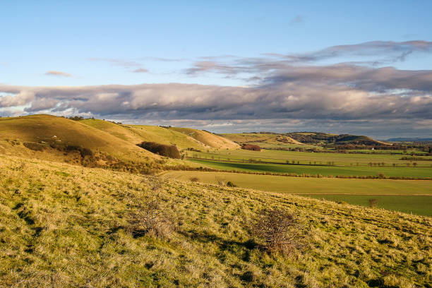 istock Vale of Pewsey, Wiltshire 1317228885