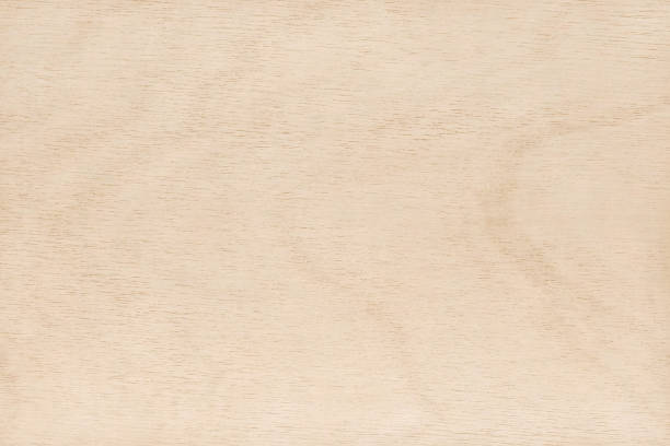 superficie de madera contrachapada en patrón natural con alta resolución. fondo de textura de grano de madera. - plywood wood grain panel birch fotografías e imágenes de stock