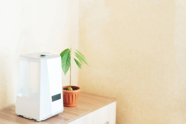 istock White humidifier on the nightstand next to an avocado sprout. Humidification, ionization and air purification. Health care concept 1317235485