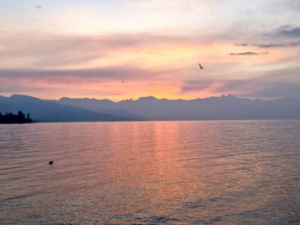 Pink sunrise on Leman Lake, Lausanne, Switzerland