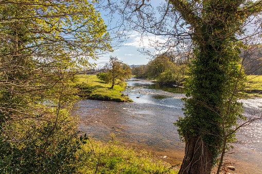 Private fly fishing location on the River Ribble, Hurst Green, Lancashire.