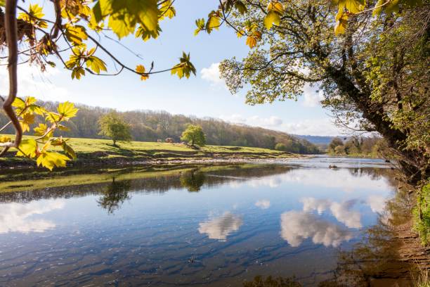 River Ribble, Hurst Green, Whalley, Clitheroe.