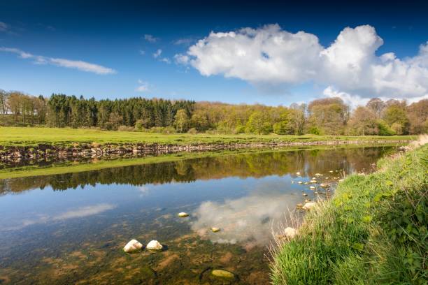 river ribble, hurst green, whalley, clitheroe. - ribble - fotografias e filmes do acervo