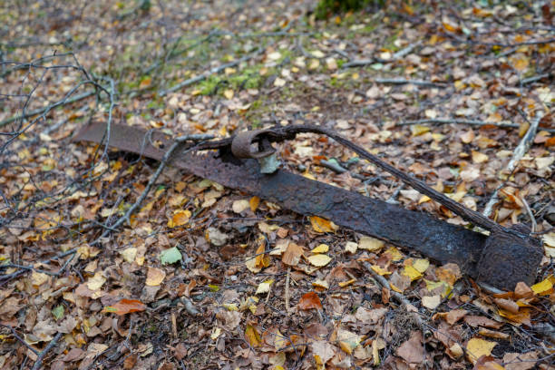 istock Old rusty scrap metal in woodland abandoned 1317237402