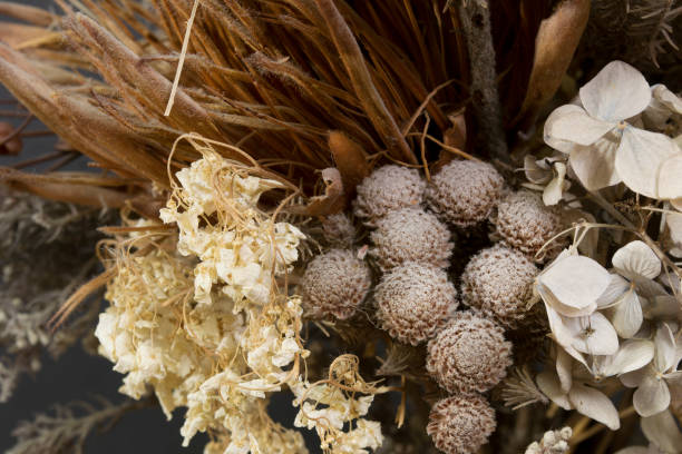 istock Dried bouquet closeup 1317237442