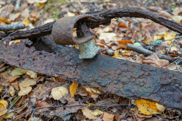 istock Old rusty scrap metal in woodland abandoned 1317237520