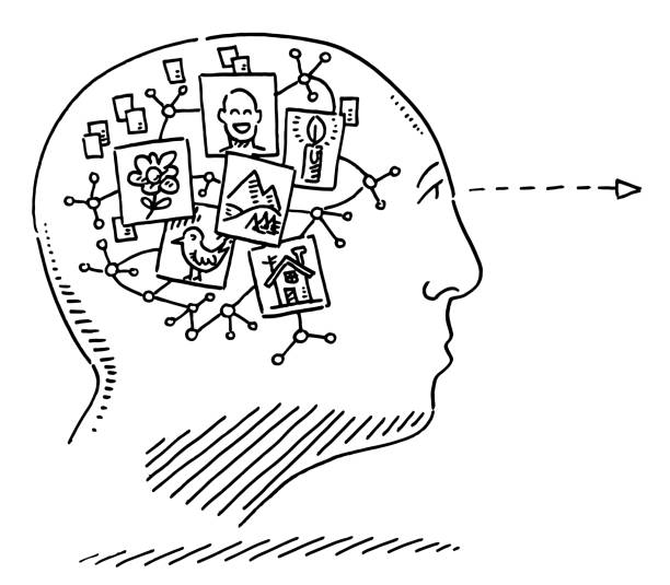 Thinker Draw Brain Thinker Drawing