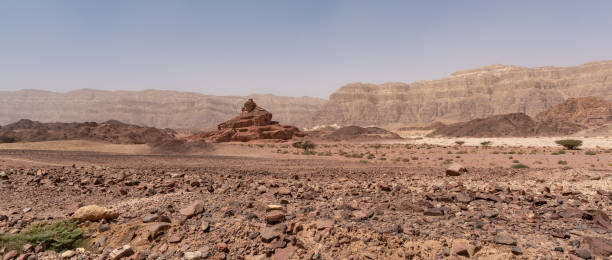 istock Beautiful, breath taking, and expansive Timna park near Eilat. 1317244050
