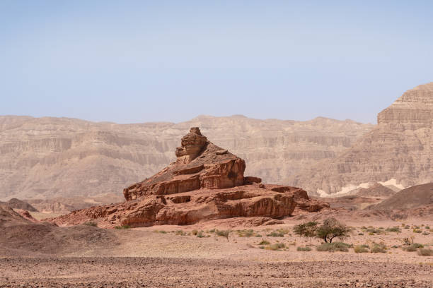 istock Beautiful, breath taking, and expansive Timna park near Eilat. 1317244247