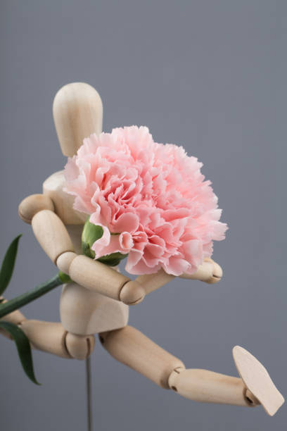 istock Beautiful fresh blooming orange color tender carnations isolated. 1317246252