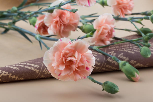 istock Beautiful fresh blooming orange color tender carnations isolated. 1317246254