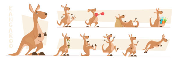 ilustraciones, imágenes clip art, dibujos animados e iconos de stock de personajes canguros. animales australianos de vida silvestre de pie y saltando canguro vector exacto en poses de acción - kangaroo