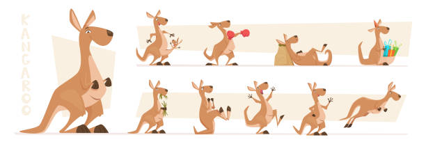 illustrations, cliparts, dessins animés et icônes de personnages kangourou. animaux australiens de faune restant et sautant le kangourou vecteur exact dans des poses d’action - kangourou