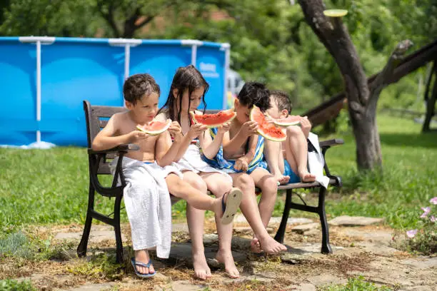 Photo of Four children sitting munching on watermelon in a garden adorned in swimming costumes and towels