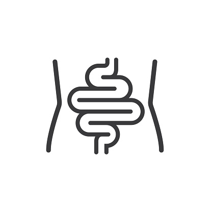 Waist and colon, human digestion symbol, vector, icon.