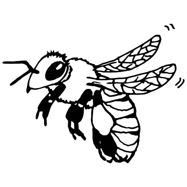 Vector illustration of Bee black drawn contour vector clip art