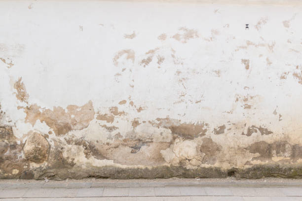 Grunge wall background. Old brick and stone wall with bright abandoned plaster and pavement