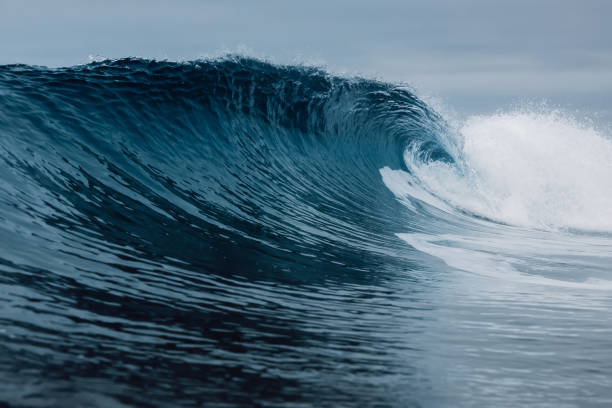 istock Surfing wave in Pacific ocean. Ideal waves for surfing 1317253001