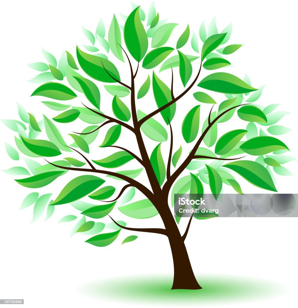 Stylized tree with green leaves. Stylized tree with green leaves. Illustration on white background Green Color stock vector