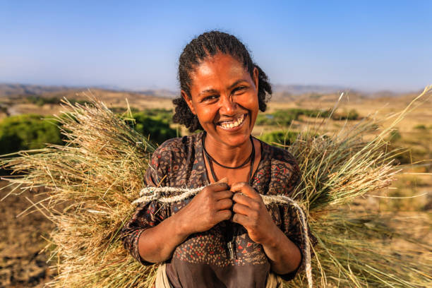 happy african woman carrying straw, east africa - etiopia i imagens e fotografias de stock
