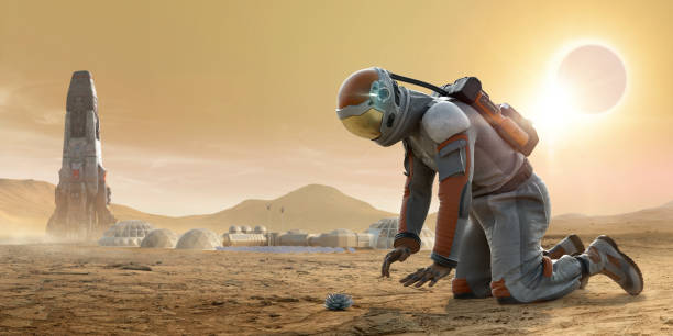 Astronaut on Mars Kneeling and Staring Down At A Plant Growing In Rocky Dusty Ground With Spaceship And Base Camp In Background An astronaut on planet Mars wearing a generic astronaut suit with helmet and backpack kneeling on the ground and looking at a succulent plant growing from the dusty, rocky terrain. A rocket and Mars base camp are in the background. There is a solar eclipse taking place. base camp photos stock pictures, royalty-free photos & images