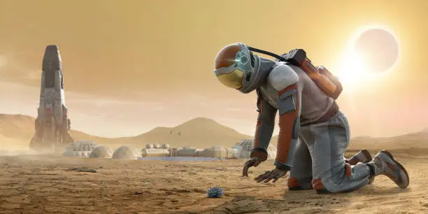 An astronaut on planet Mars wearing a generic astronaut suit with helmet and backpack kneeling on the ground and looking at a succulent plant growing from the dusty, rocky terrain. A rocket and Mars base camp are in the background. There is a solar eclipse taking place.