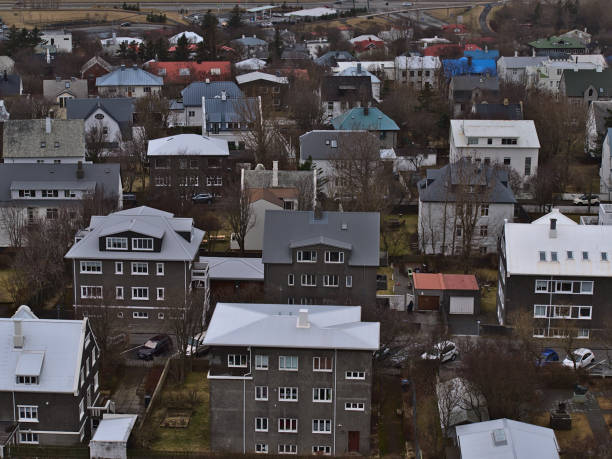 aerial view of residential houses in the center of reykjavik, capital of iceland, with colorful roofs, gardens and bare trees in winter season. - bare tree winter plants travel locations imagens e fotografias de stock