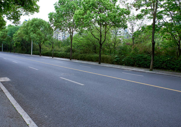 istock An asphalt road full of road trees 1317255340